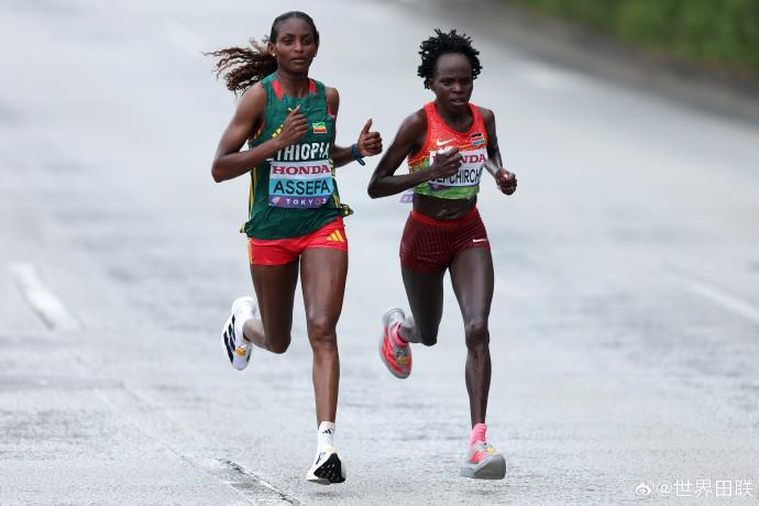 勒沃库森主,场大胜拜仁,积分差距增,拼搏在线彩神通,彩票平台,数据分析,彩票预测,在线投注