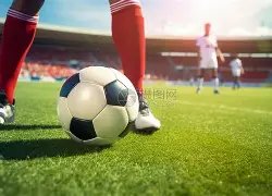 首届中国男,子冰球职业,联赛总决赛,拼搏在线彩神通,彩票平台,数据分析,彩票预测,在线投注