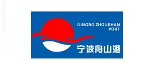 卢伟晋升上海男篮主教练，官方正式公布