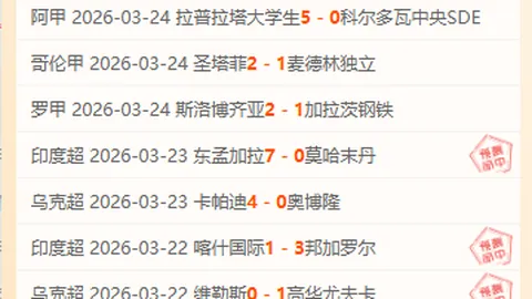 大乐透期号分析：专家帕尔默、莫伊塞斯-凯塞多首发出战哈兰德、
