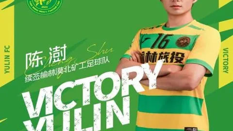 中场双将把关，塞鸟指挥进攻，法比奥锋线突袭国安挑战津门虎