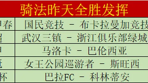 智利甲赛事：专家深度分析，免费推荐详析