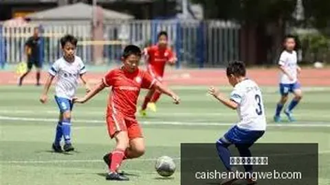 体育界辉煌历程彩票预测：年薪之王运动员档案一览